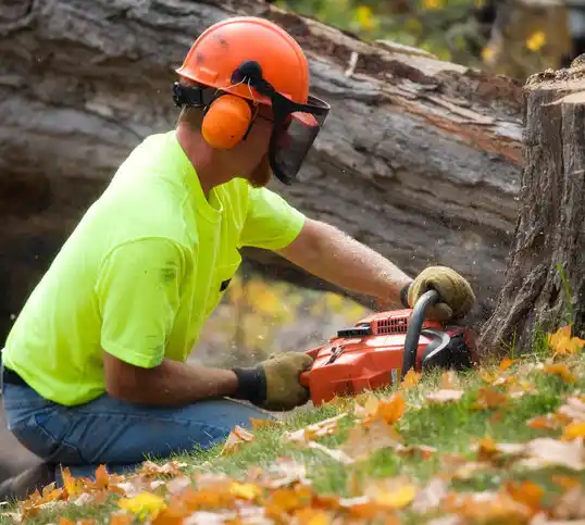 tree services Columbus AFB